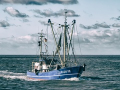 Krabbenkutter CUX-12 ELENA - Cuxhaven 2019 (bearbeitet)