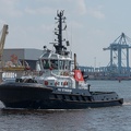 SD STINGRAY 220623