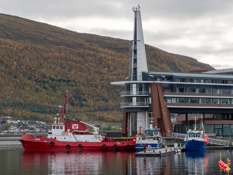 Hafen Tromsö