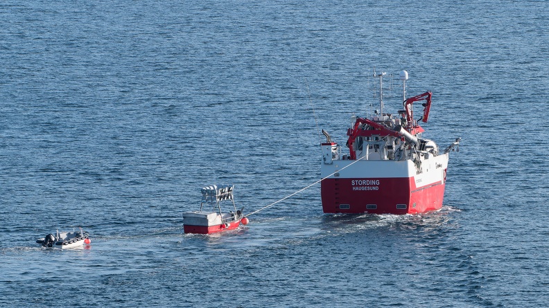 Einlaufen Bergen - in der Morgensonne Kutter STORDING und Anhang 